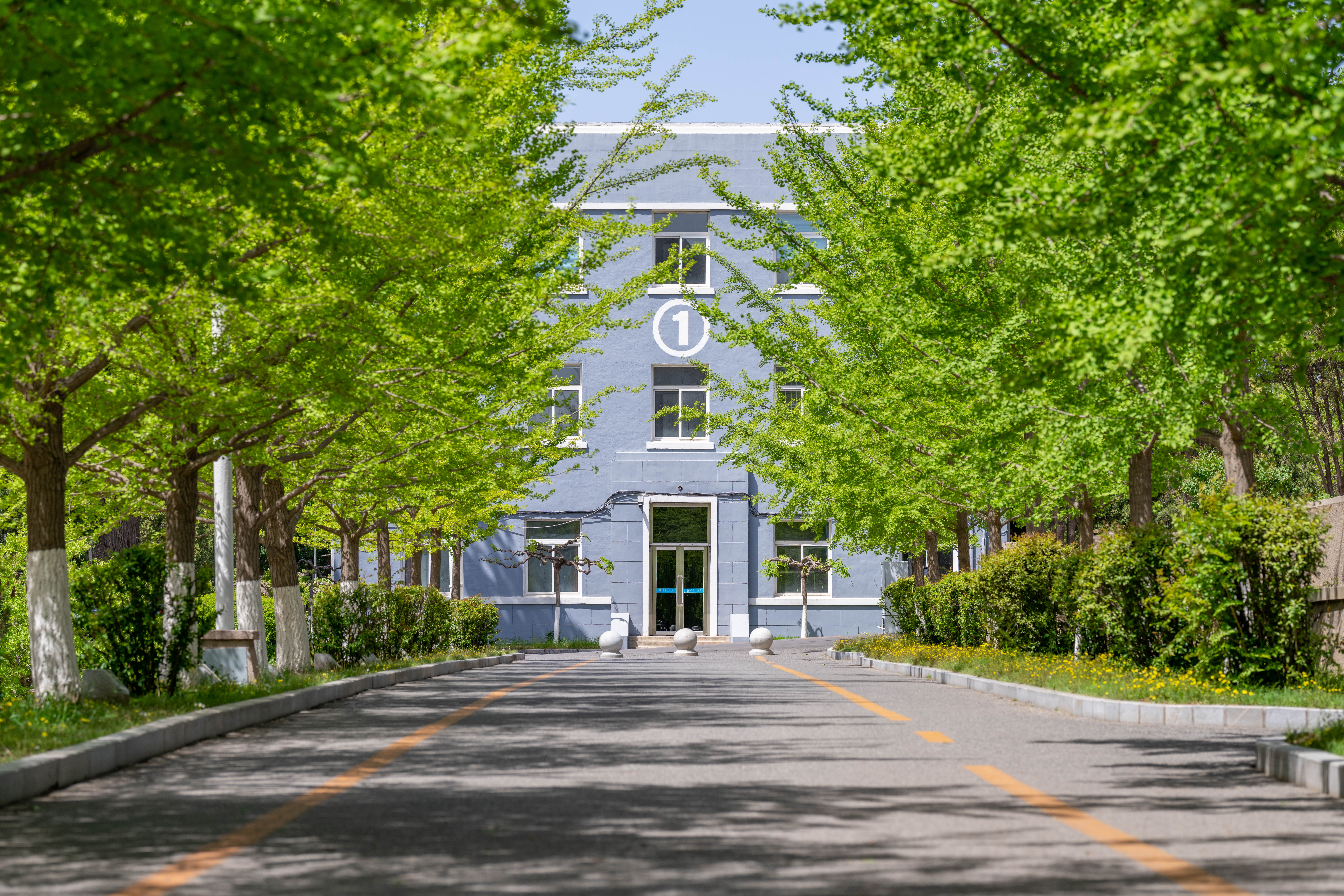 新葡萄AMG官方网站春季校园风景
